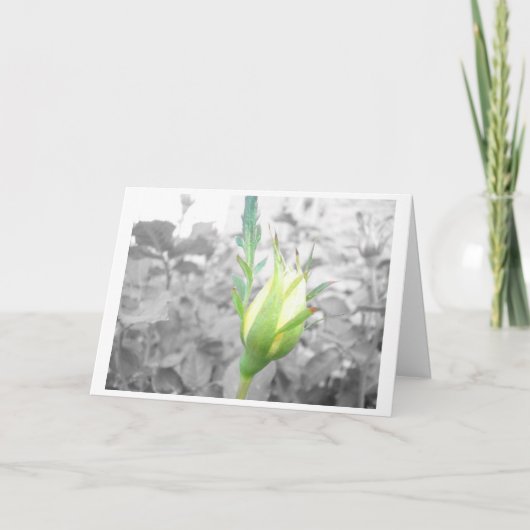 gele bud kaart (Voorkant)