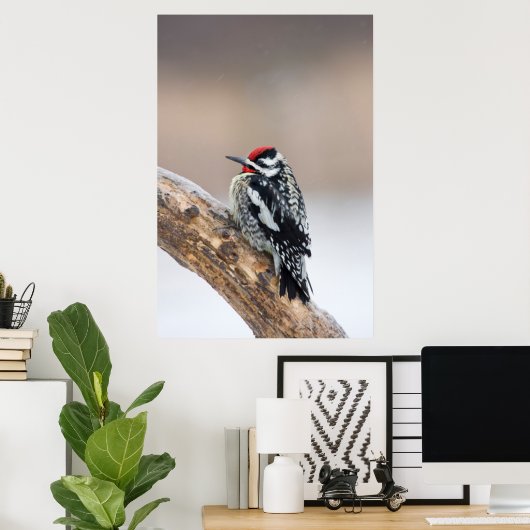 Gele-buikkramp man poster (Thuiskantoor)