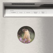 Gele buikzijde marmot magneet (Insitu (Vaatwasser))