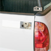 Gele Bumpersticker (Op Truck)