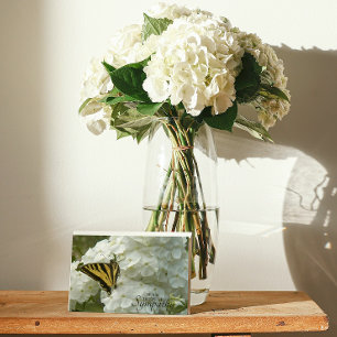 Gele Butterfly op White Phlox Floral Sympathie Kaart