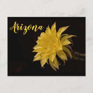 Gele cactus bloem, Arizona Briefkaart