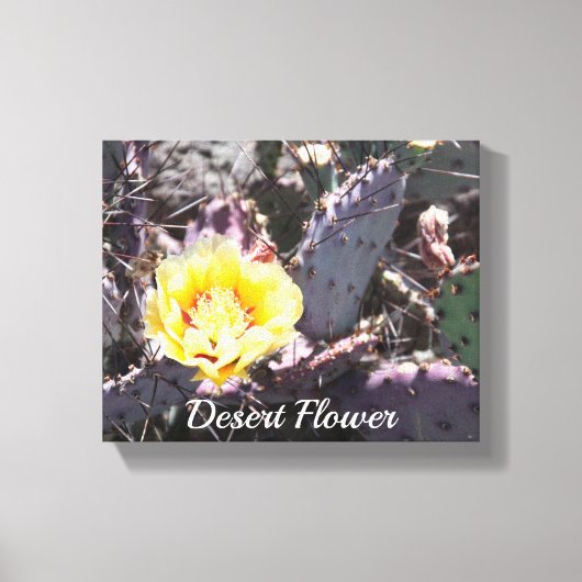 Gele cactus bloem in de lente canvas afdruk (Voorkant)