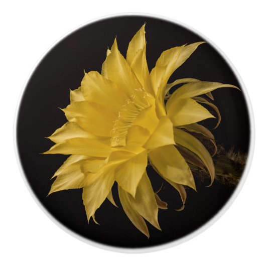 Gele cactus bloem keramische knop (Voorkant)
