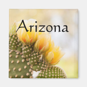 Gele cactus bloemen als ze bloeien, Arizona Magneet