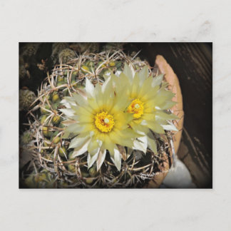 Gele Cactus Blooms Briefkaart