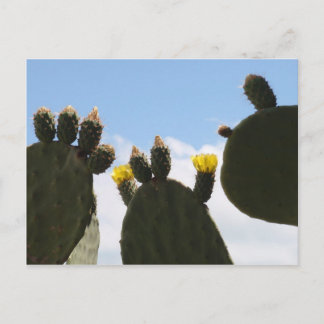 Gele Cactus Flowers Briefkaart