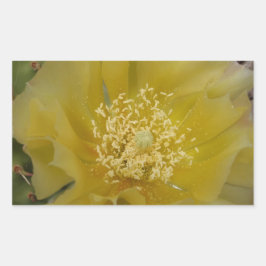 Gele Cactus In Bloei Rechthoekige Sticker