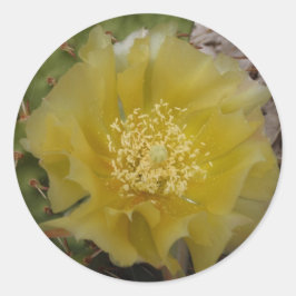 Gele Cactus In Bloei Ronde Sticker