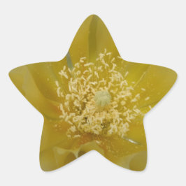 Gele Cactus In Bloei Ster Sticker