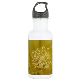 Gele Cactus In Bloei Waterfles