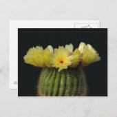 Gele cactus ventilator briefkaart (Voorkant / Achterkant)