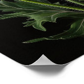 Gele Californische Klaproos Bloemen Kunstprint Pos Poster (Hoek)