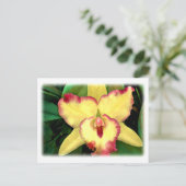 Gele Cattleya Orchid met Red Ruffle Briefkaart (Staand voorkant)