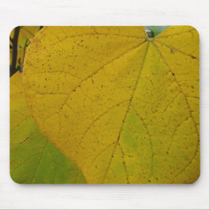 Gele Cercis Bladeren Herfst Natuurfotografie Muismat