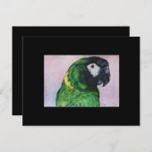 Gele Collared Macaw ACEO Art Trading Card Briefkaart (Voorkant / Achterkant)
