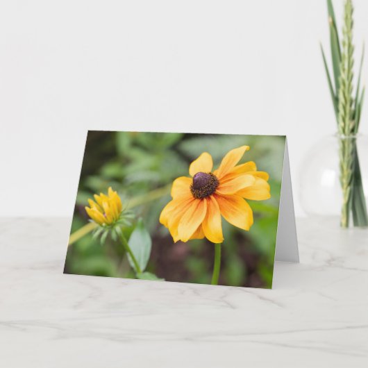 gele coneflower noot kaart (Voorkant)