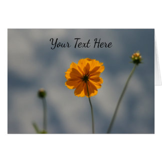 Gele Coreopsis