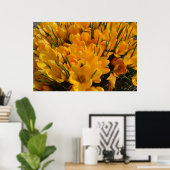 Gele crocus flavus - Gele gouden bloemen Poster (Thuiskantoor)
