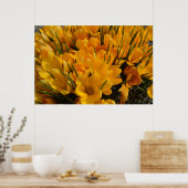 Gele crocus flavus - Gele gouden bloemen Poster (Keuken)