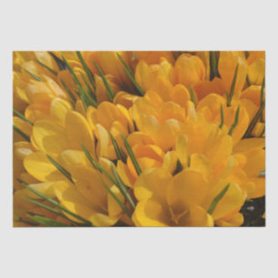 Gele crocus flavus - Gele gouden bloemen Tissuepapier