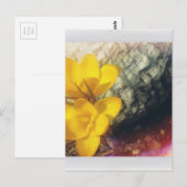 Gele Crocus Flowers Briefkaart (Voorkant / Achterkant)