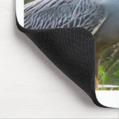 Gele Crown Night Heron Muismat (Hoek)