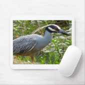 Gele Crown Night Heron Muismat (Met muis)