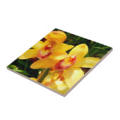 Gele Cymbidium Orchid Ceramic Tile Tegeltje (Zijkant)
