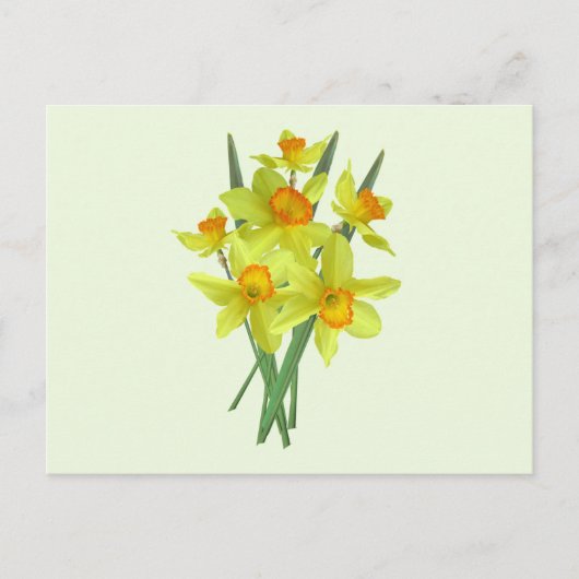 Gele Daffodil Flowers Briefkaart (Voorkant)