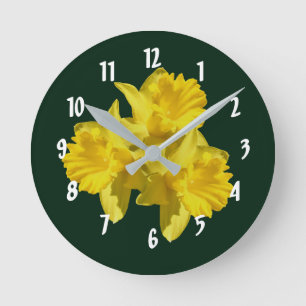 Gele Daffodil Flowers   Ronde Klok