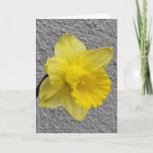 Gele Daffodil Moederdag Kaart (Voorkant)