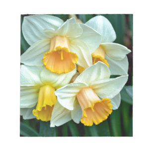 Gele daffodilbloemen notitieblok