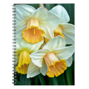 Gele daffodilbloemen notitieboek
