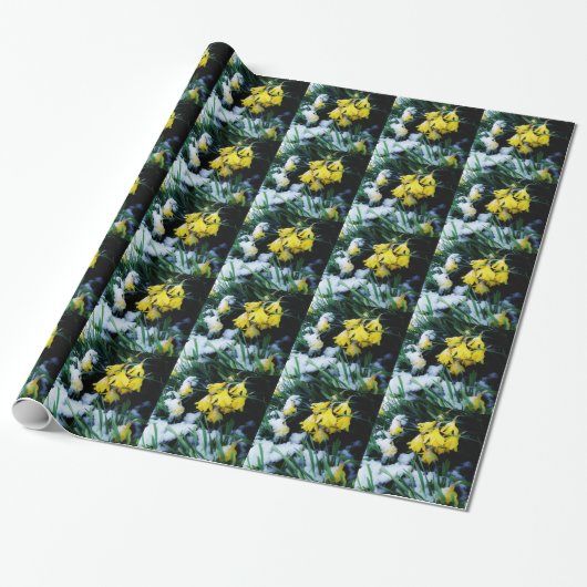 Gele Daffodils bloemen in de sneeuw Cadeaupapier (Uitgerold)