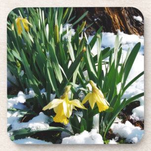 Gele Daffodils bloemen in de sneeuw Drankjes Onderzetter