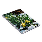 Gele Daffodils bloemen in de sneeuw Notitieboek (Rechterzijde)