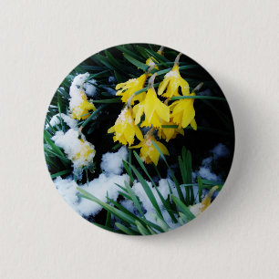 Gele Daffodils bloemen in de sneeuw Ronde Button 5,7 Cm
