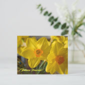 Gele daffodils, Felices Pascuas.  briefkaart (Staand voorkant)