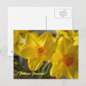 Gele daffodils, Felices Pascuas.  briefkaart (Voorkant / Achterkant)