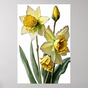 Gele Daffodils Flower Art Print Poster