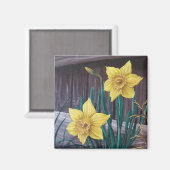 Gele Daffodils Magneet (Voorkant / Achterkant)