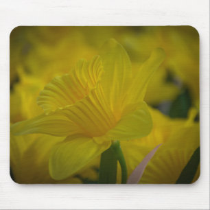 Gele daffodis mousepad muismat