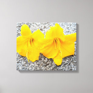 gele dagbloemen in volle bloei canvas afdruk