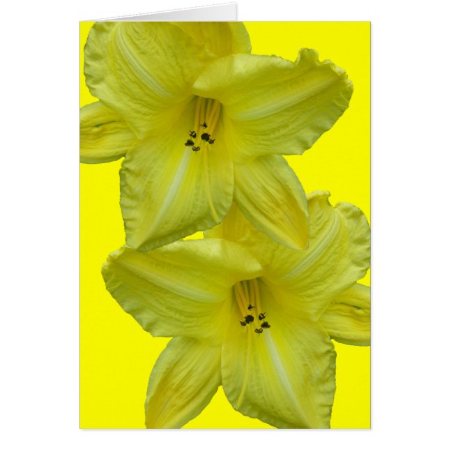 Gele dagcoördinerende items (Voorkant)