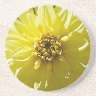 Gele Dahlia Coaster Zandsteen Onderzetter