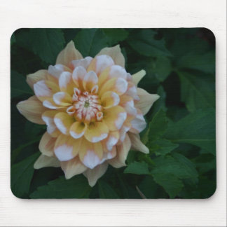 Gele dahlia flower blossom mousepad gift idee muismat
