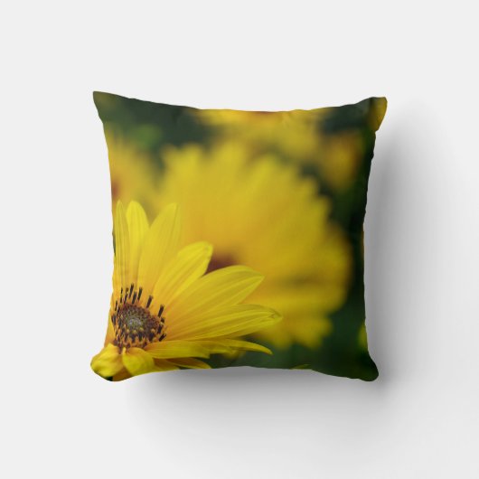 Gele Daisy Helenium werpkussen Kussen (Voorkant)