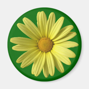 Gele Daisy Magneet