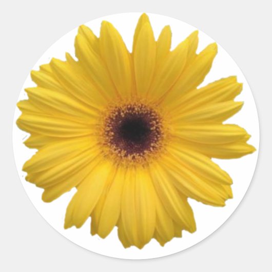 Gele Daisy Round Stickers (Voorkant)